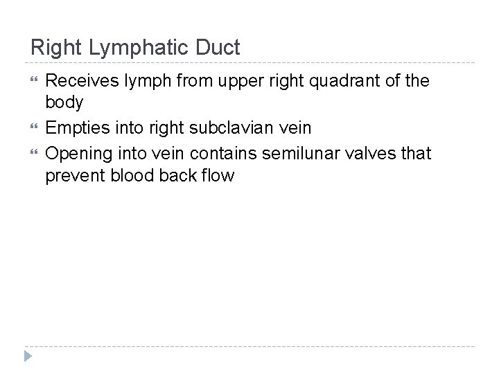 Right Lymphatic Duct Receives lymph from upper right quadrant of the body Empties into