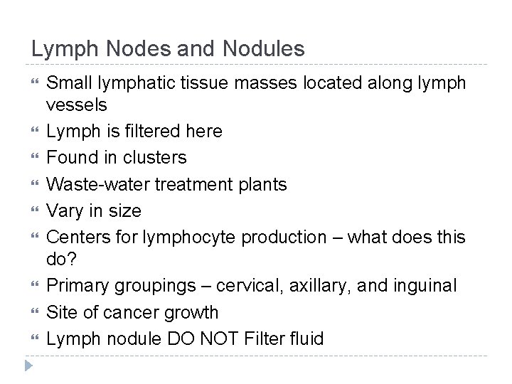 Lymph Nodes and Nodules Small lymphatic tissue masses located along lymph vessels Lymph is