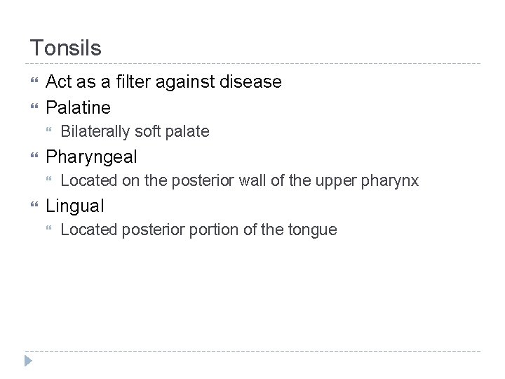 Tonsils Act as a filter against disease Palatine Pharyngeal Bilaterally soft palate Located on