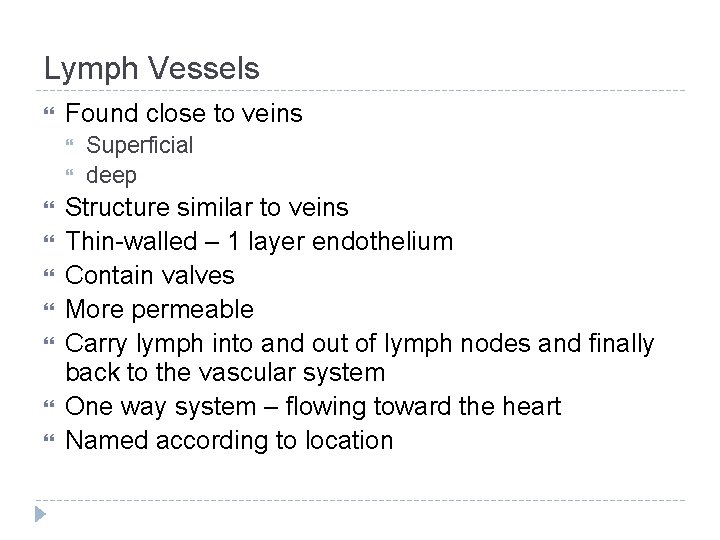 Lymph Vessels Found close to veins Superficial deep Structure similar to veins Thin-walled –