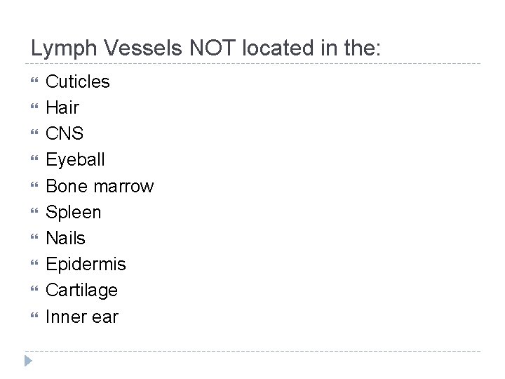 Lymph Vessels NOT located in the: Cuticles Hair CNS Eyeball Bone marrow Spleen Nails