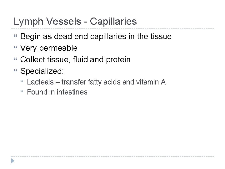 Lymph Vessels - Capillaries Begin as dead end capillaries in the tissue Very permeable