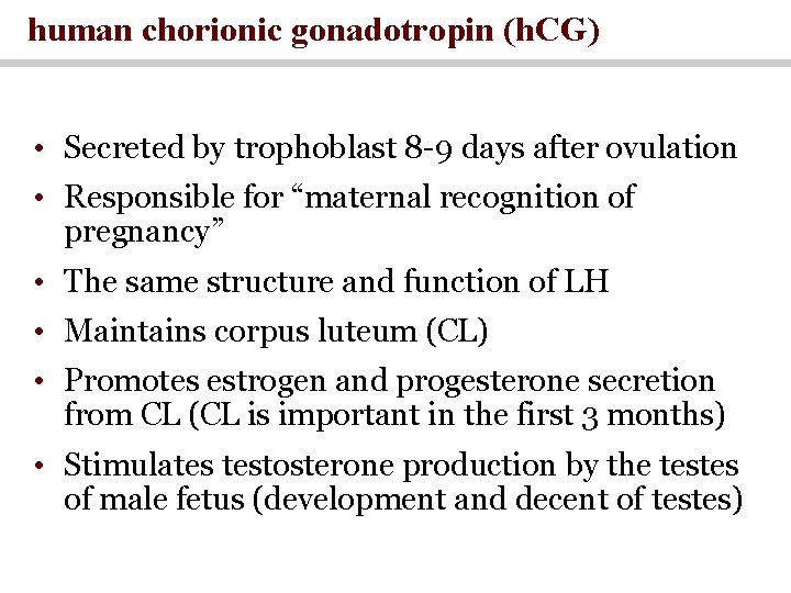 human chorionic gonadotropin (h. CG) • Secreted by trophoblast 8 -9 days after ovulation