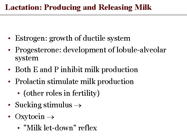 Lactation: Producing and Releasing Milk • Estrogen: growth of ductile system • Progesterone: development
