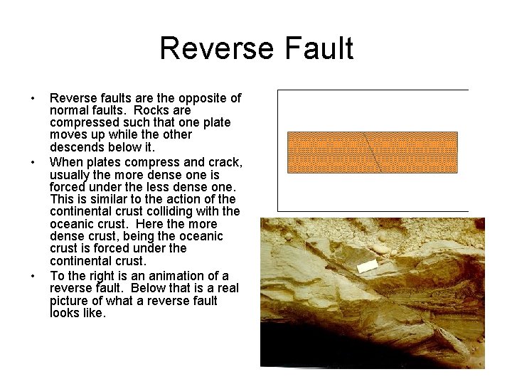 Reverse Fault • • • Reverse faults are the opposite of normal faults. Rocks