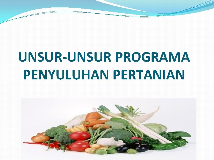 UNSUR-UNSUR PROGRAMA PENYULUHAN PERTANIAN 