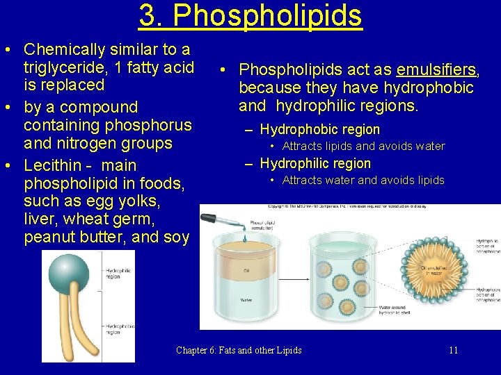 3. Phospholipids • Chemically similar to a triglyceride, 1 fatty acid is replaced •