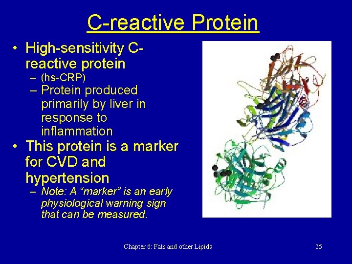 C-reactive Protein • High-sensitivity Creactive protein – (hs-CRP) – Protein produced primarily by liver