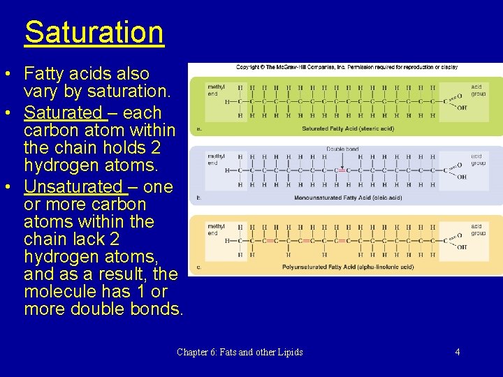Saturation • Fatty acids also vary by saturation. • Saturated – each carbon atom