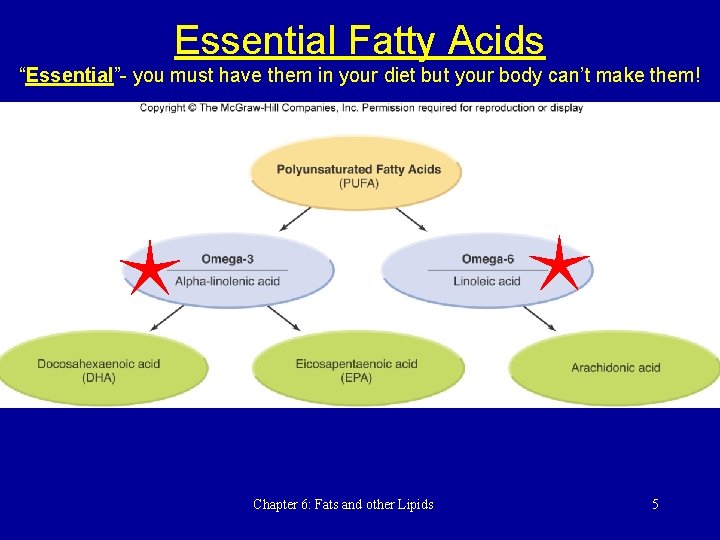 Essential Fatty Acids “Essential”- you must have them in your diet but your body