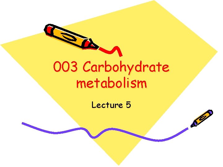 003 Carbohydrate metabolism Lecture 5 