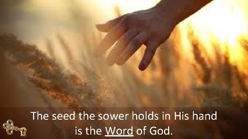 The seed the sower holds in His hand is the Word of God. 