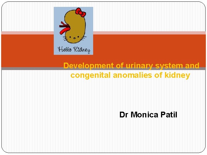 Development of urinary system and congenital anomalies of kidney Dr Monica Patil 