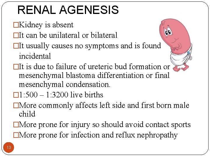 RENAL AGENESIS �Kidney is absent �It can be unilateral or bilateral �It usually causes