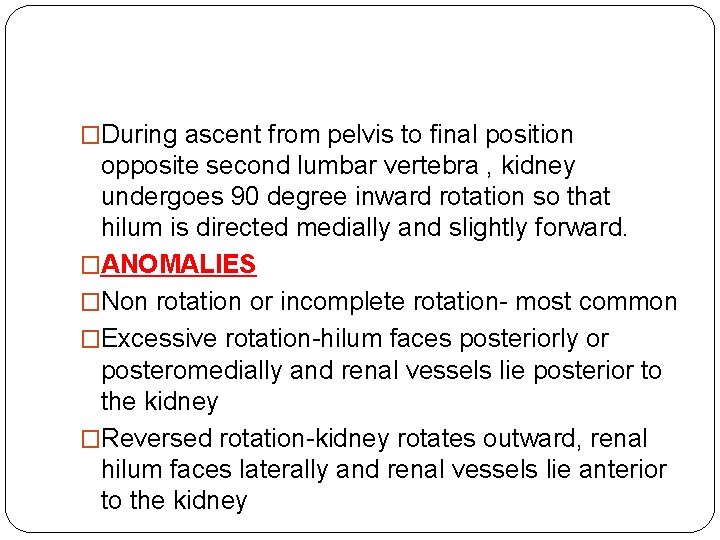 �During ascent from pelvis to final position opposite second lumbar vertebra , kidney undergoes