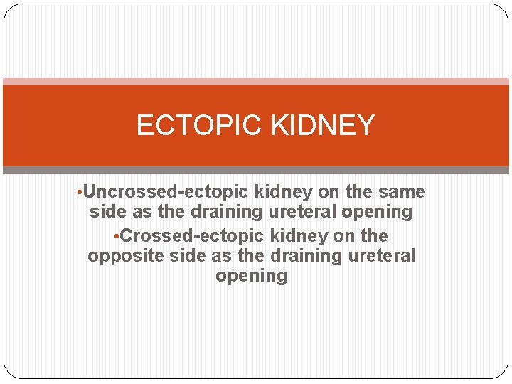 ECTOPIC KIDNEY • Uncrossed-ectopic kidney on the same side as the draining ureteral opening