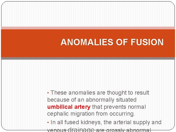 ANOMALIES OF FUSION • These anomalies are thought to result because of an abnormally