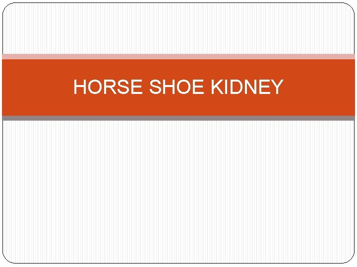 HORSE SHOE KIDNEY 