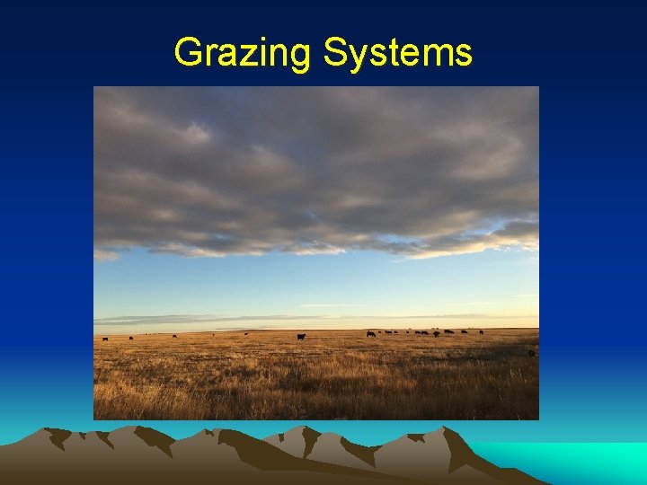 Grazing Systems 