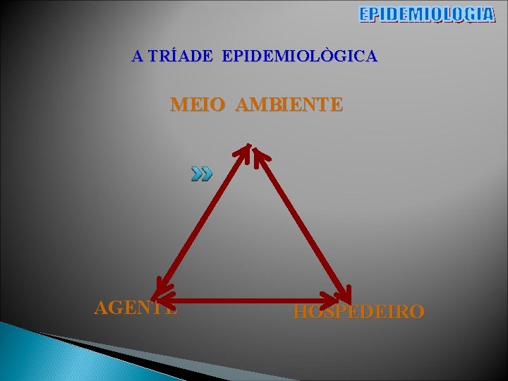 A TRÍADE EPIDEMIOLÒGICA MEIO AMBIENTE AGENTE HOSPEDEIRO 