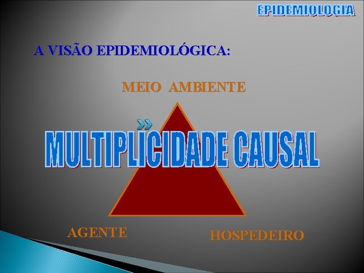 A VISÃO EPIDEMIOLÓGICA: MEIO AMBIENTE AGENTE HOSPEDEIRO 