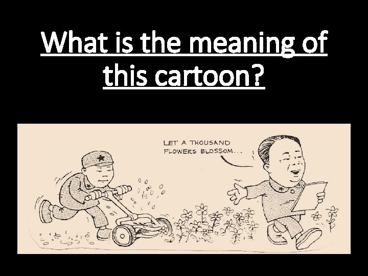 What is the meaning of this cartoon? 