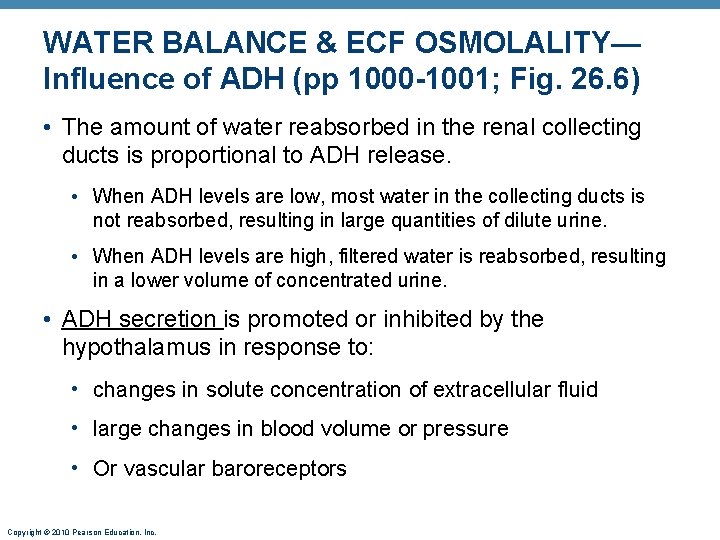WATER BALANCE & ECF OSMOLALITY— Influence of ADH (pp 1000 -1001; Fig. 26. 6) WATER BALANCE & ECF OSMOLALITY— Influence of ADH (pp 1000 -1001; Fig. 26. 6)