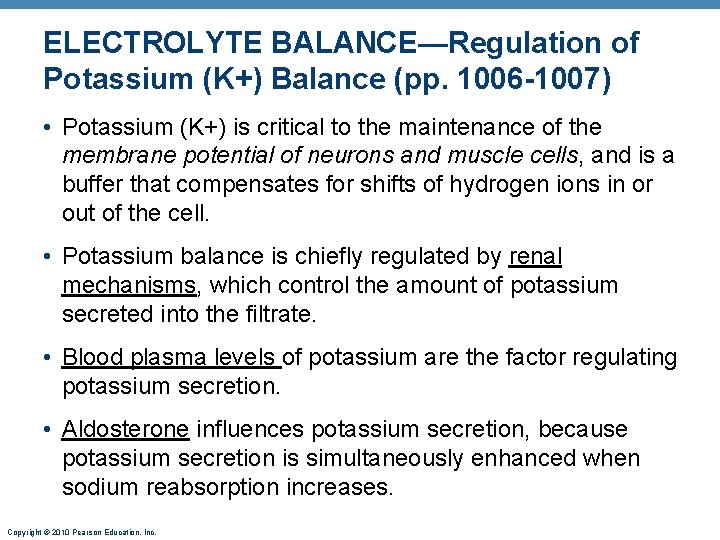 ELECTROLYTE BALANCE—Regulation of Potassium (K+) Balance (pp. 1006 -1007) • Potassium (K+) is critical ELECTROLYTE BALANCE—Regulation of Potassium (K+) Balance (pp. 1006 -1007) • Potassium (K+) is critical