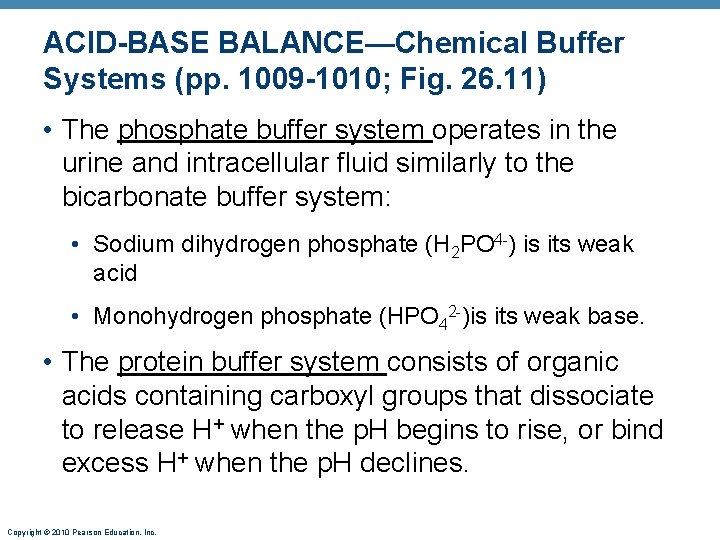 ACID-BASE BALANCE—Chemical Buffer Systems (pp. 1009 -1010; Fig. 26. 11) • The phosphate buffer ACID-BASE BALANCE—Chemical Buffer Systems (pp. 1009 -1010; Fig. 26. 11) • The phosphate buffer