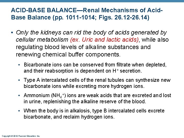 ACID-BASE BALANCE—Renal Mechanisms of Acid. Base Balance (pp. 1011 -1014; Figs. 26. 12 -26. ACID-BASE BALANCE—Renal Mechanisms of Acid. Base Balance (pp. 1011 -1014; Figs. 26. 12 -26.