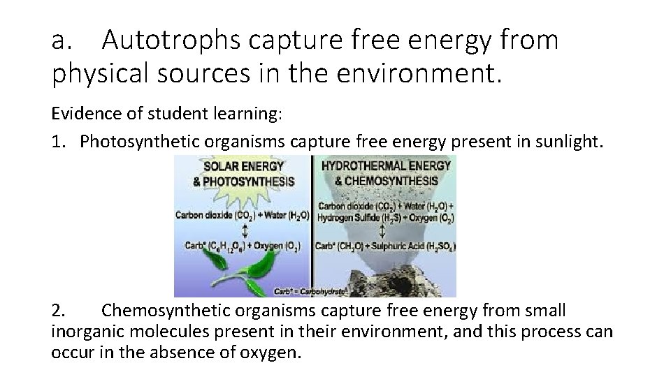 a. Autotrophs capture free energy from physical sources in the environment. Evidence of student
