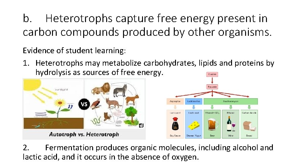 b. Heterotrophs capture free energy present in carbon compounds produced by other organisms. Evidence