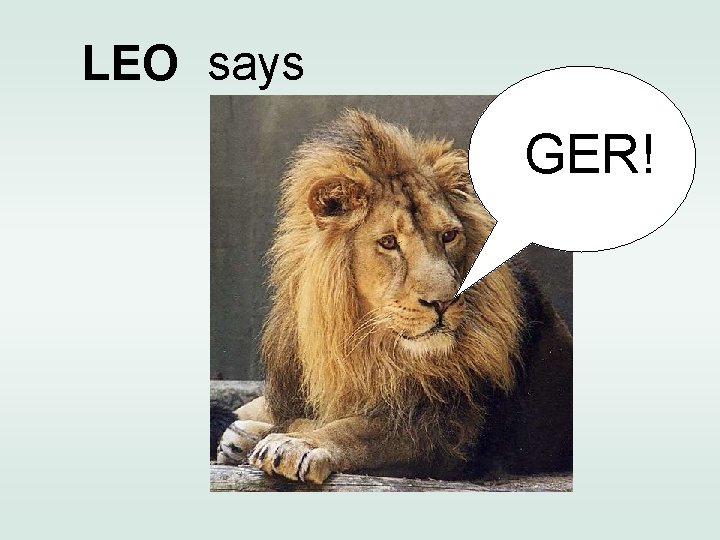 LEO says GER! 