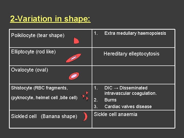 2 -Variation in shape: Poikilocyte (tear shape) 1. Elliptocyte (rod like) Extra medullary haemopoiesis