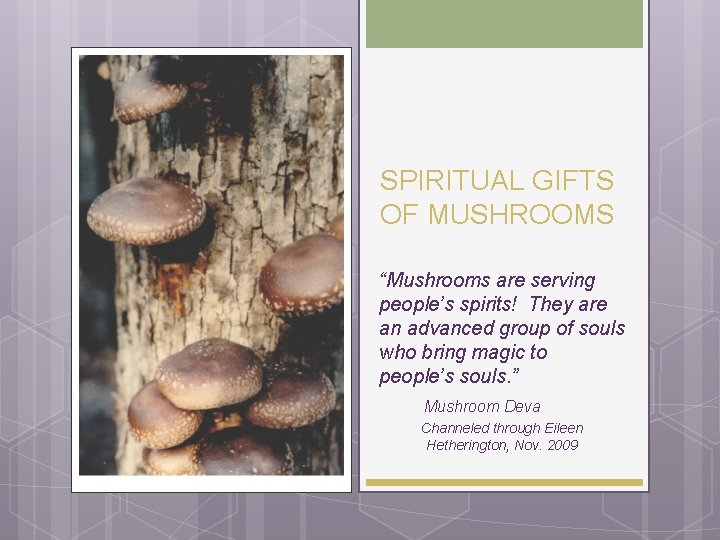 SPIRITUAL GIFTS OF MUSHROOMS “Mushrooms are serving people’s spirits! They are an advanced group