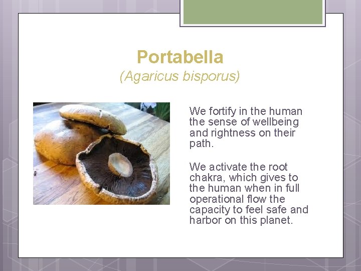 Portabella (Agaricus bisporus) We fortify in the human the sense of wellbeing and rightness