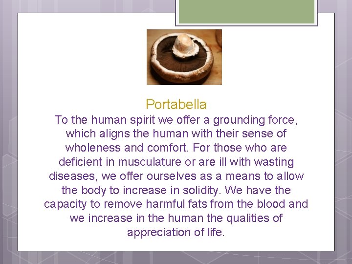 Portabella To the human spirit we offer a grounding force, which aligns the human