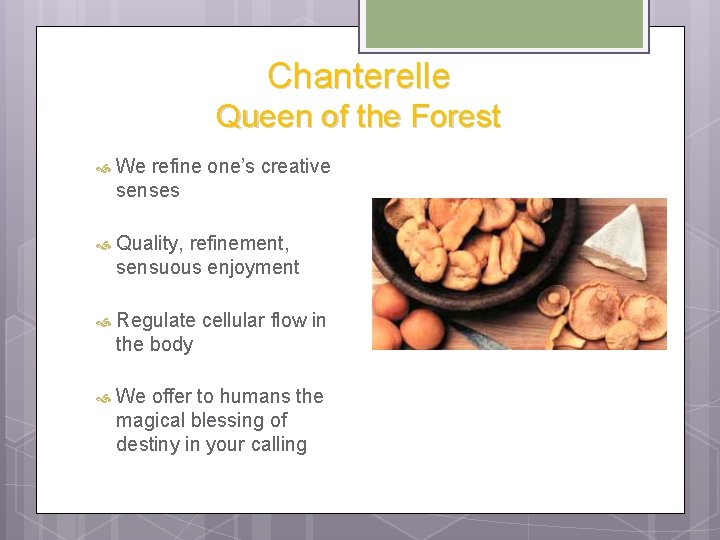 Chanterelle Queen of the Forest We refine one’s creative senses Quality, refinement, sensuous enjoyment