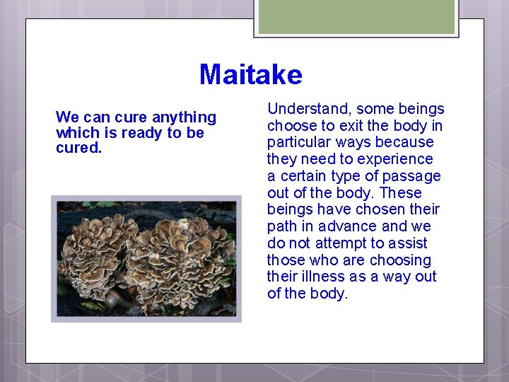 Maitake We can cure anything which is ready to be cured. Understand, some beings