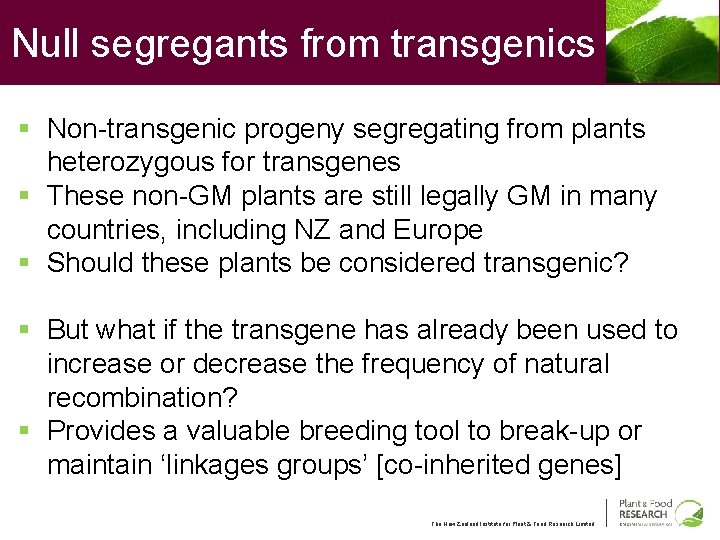 Null segregants from transgenics § Non-transgenic progeny segregating from plants heterozygous for transgenes §