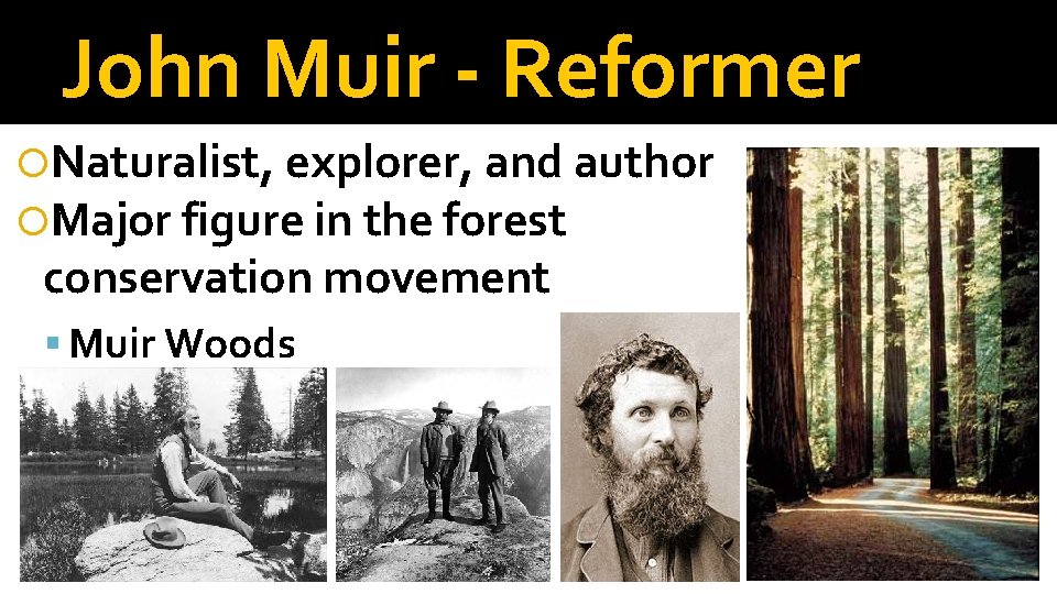 John Muir - Reformer Naturalist, explorer, and author Major figure in the forest conservation