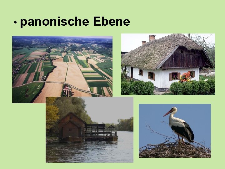  • panonische Ebene 