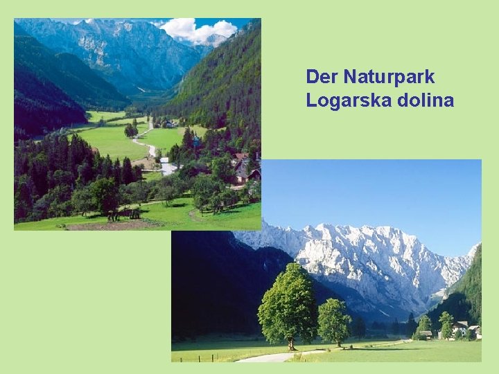 Der Naturpark Logarska dolina 