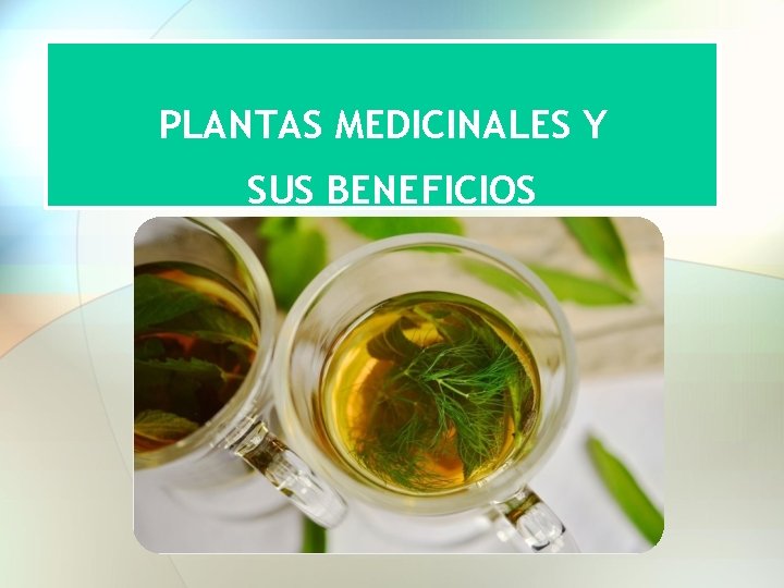 PLANTAS MEDICINALES Y SUS BENEFICIOS 