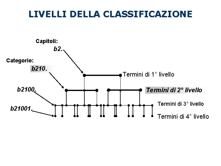 LIVELLI DELLA CLASSIFICAZIONE Capitoli: b 2. Categorie: b 21001. Termini di 1° livello Termini LIVELLI DELLA CLASSIFICAZIONE Capitoli: b 2. Categorie: b 21001. Termini di 1° livello Termini