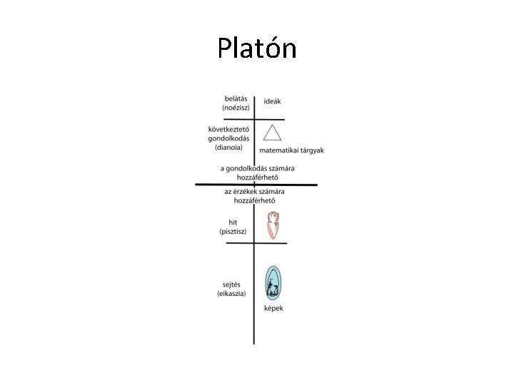 Platón Platón