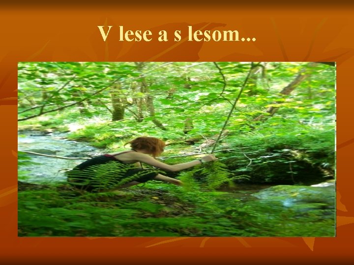 V lese a s lesom. . . 