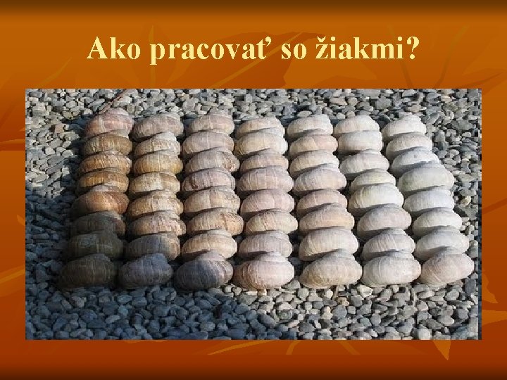 Ako pracovať so žiakmi? 