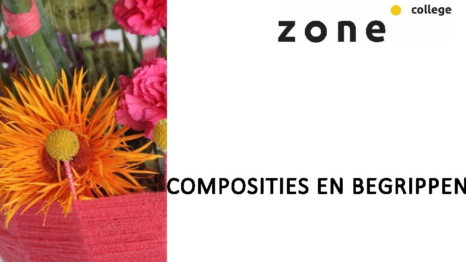 COMPOSITIES EN BEGRIPPEN 