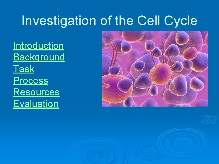 Investigation of the Cell Cycle Introduction Background Task Process Resources Evaluation 